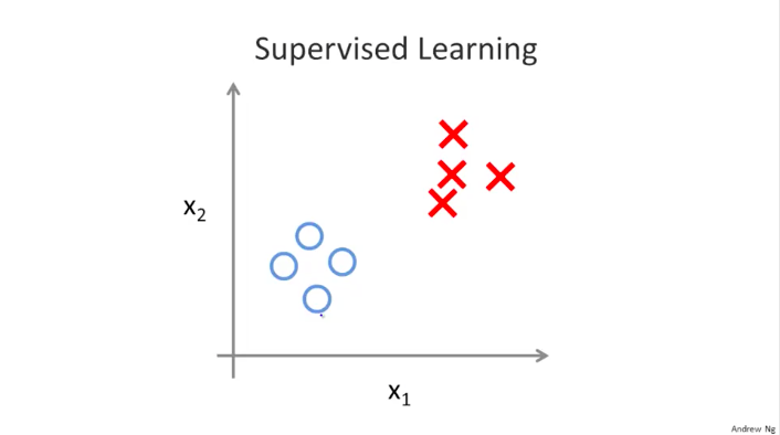 supervised learning dataset for tumor